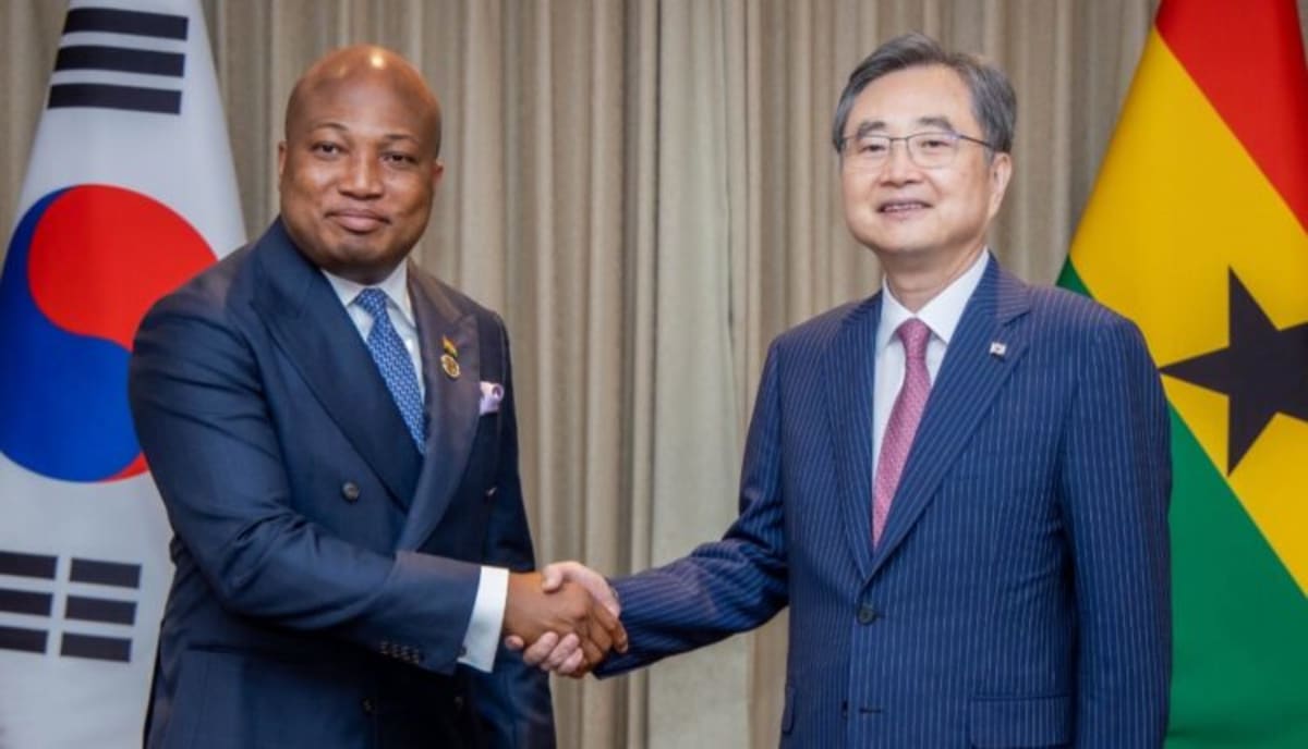 Hyundai to Build Auto Plant in Ghana, New University Planned - Image 3