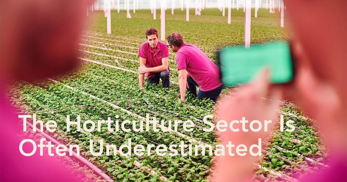 Modern greenhouse facility with advanced climate control systems and automated growing technology in the Netherlands