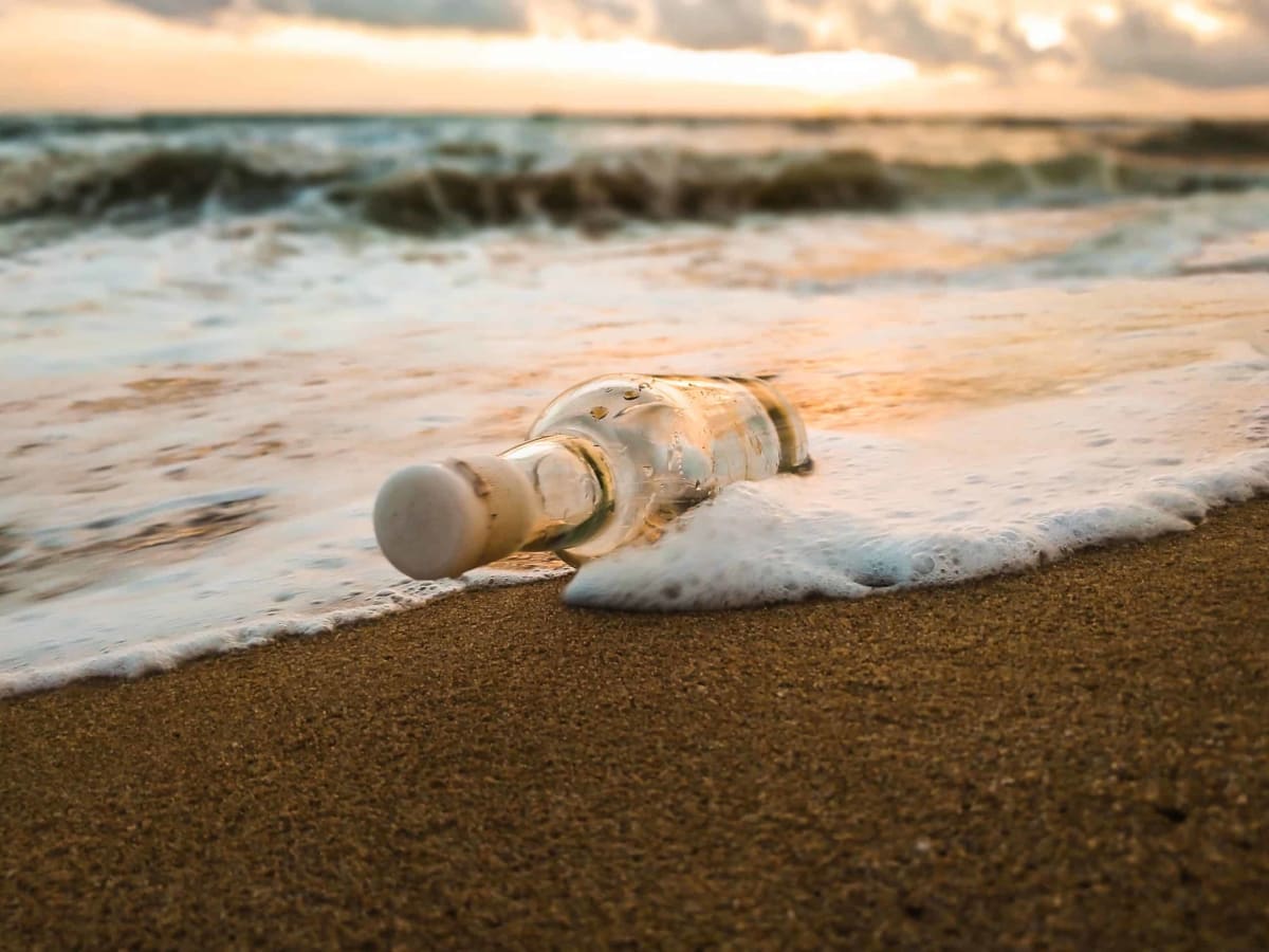 Volunteers collecting plastic waste and debris along a sunny Costa Rican beach during community cleanup