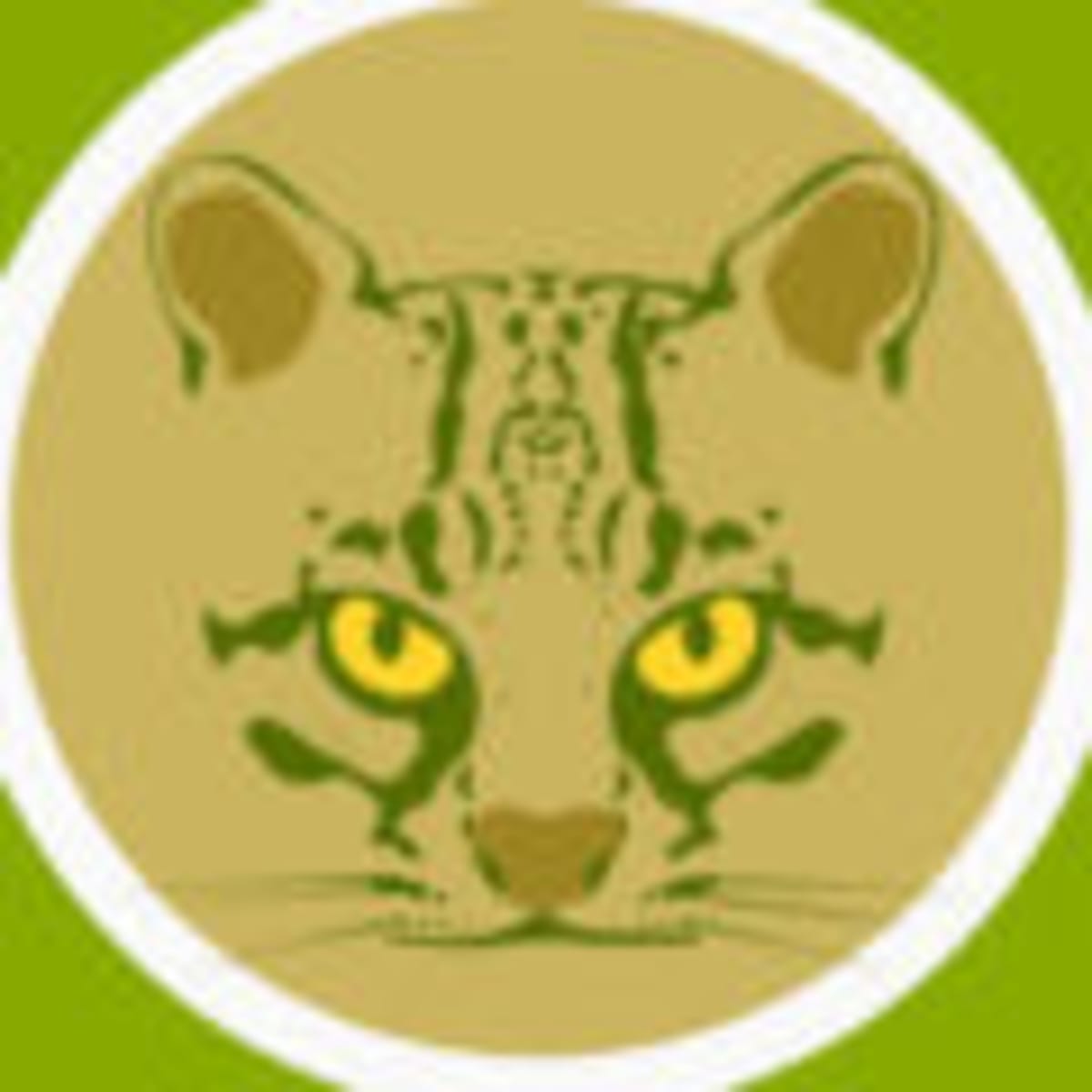 Costa Rica Cameras Catch Rare Birds in New Habitats - Image 2