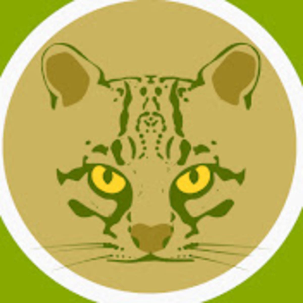 Costa Rica Cameras Catch Rare Birds in New Habitats - Image 3