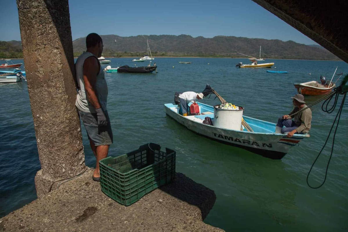 Costa Rican fishing boats docked near protected coastal waters and mangrove forests