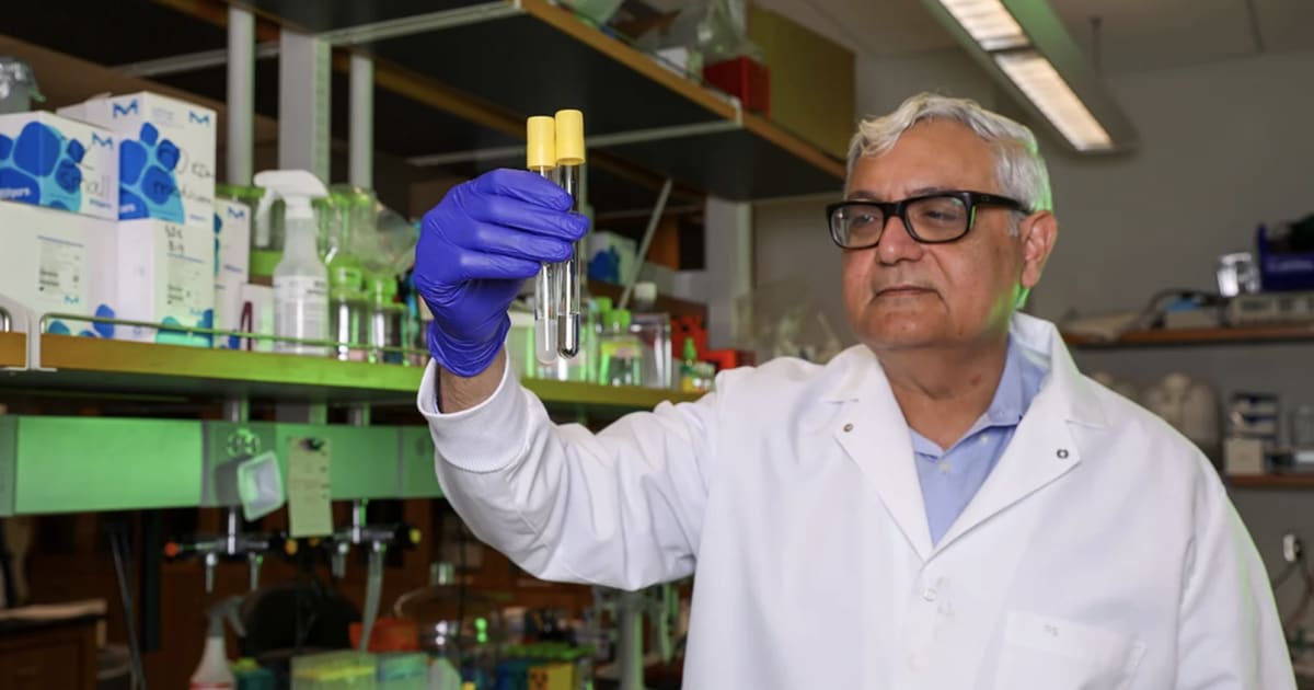 Duke Engineers Turn Weight Loss Shots Into Simple Pills