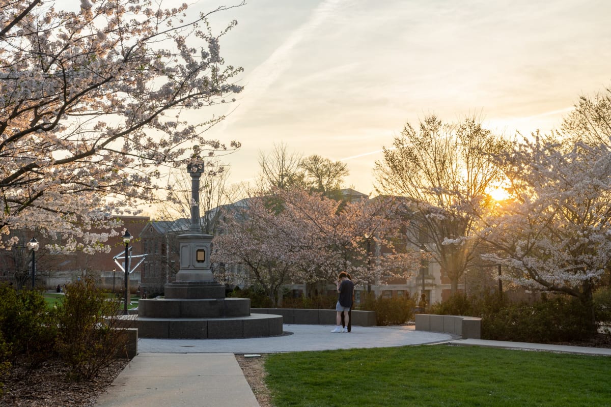 University of Connecticut campus buildings with spring blossoms at sunset