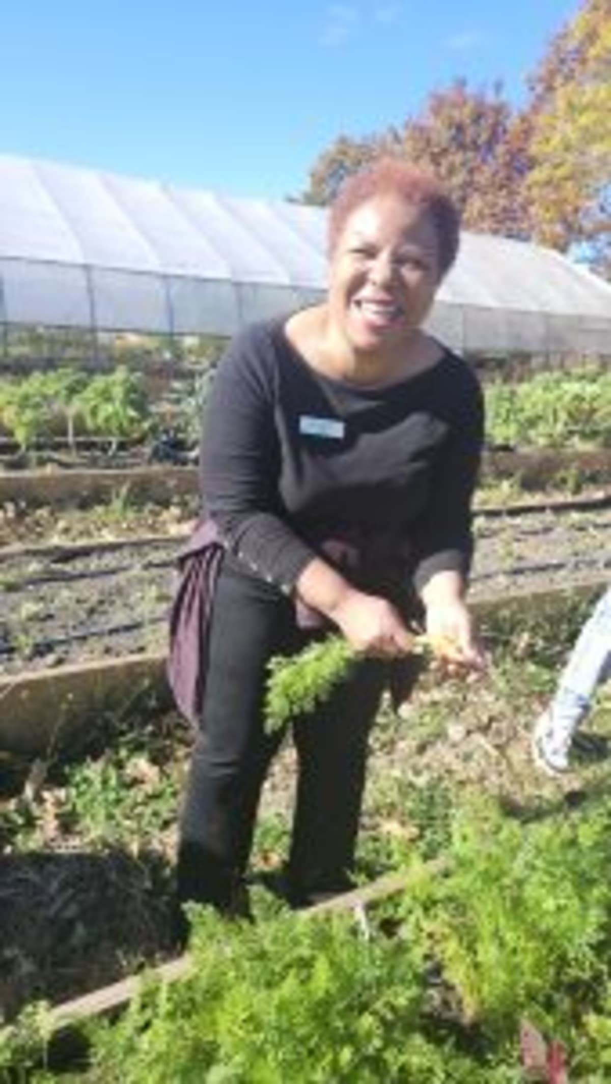 Connecticut Volunteers Give 183,000 Hours to Help Communities - Image 3