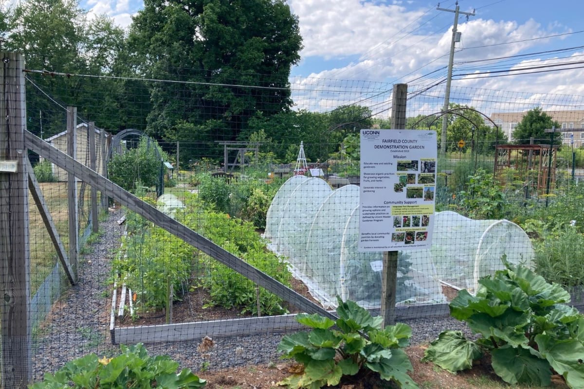 Connecticut Volunteers Give 183,000 Hours to Help Communities