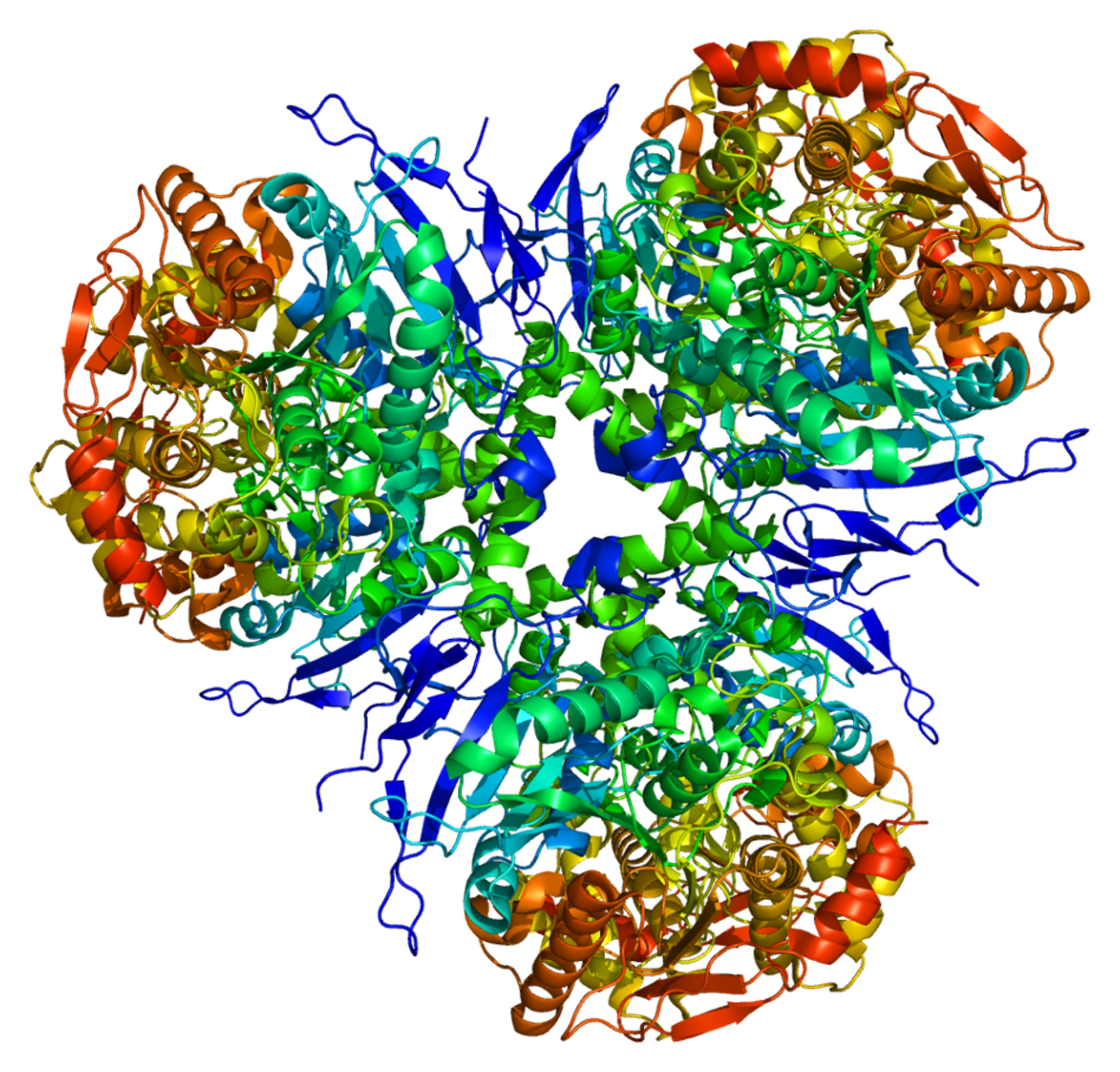 UC San Diego Finds Liver Enzyme Key to Beating Addiction - Image 3