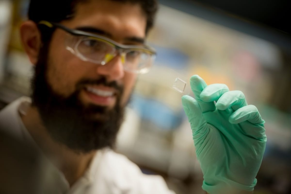 Scientists working in a modern laboratory at UC San Diego conducting research experiments