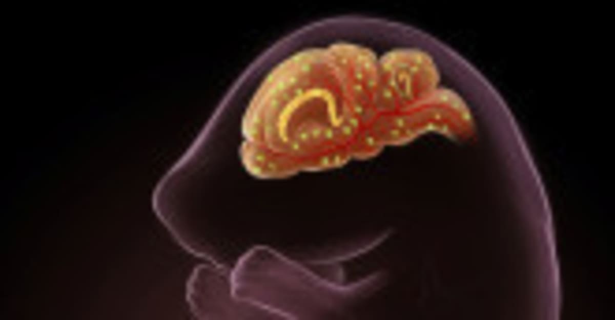 UC San Diego Trainees Crack Pregnancy and Cancer Mysteries - Image 4