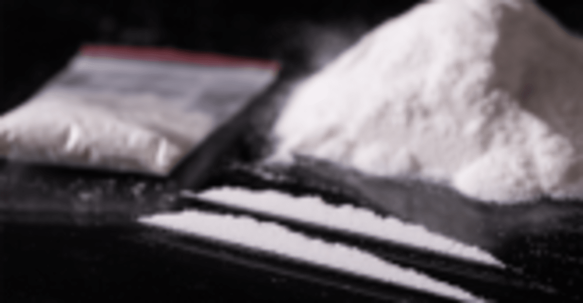 UC San Diego Finds Liver Enzyme Key to Beating Addiction - Image 5