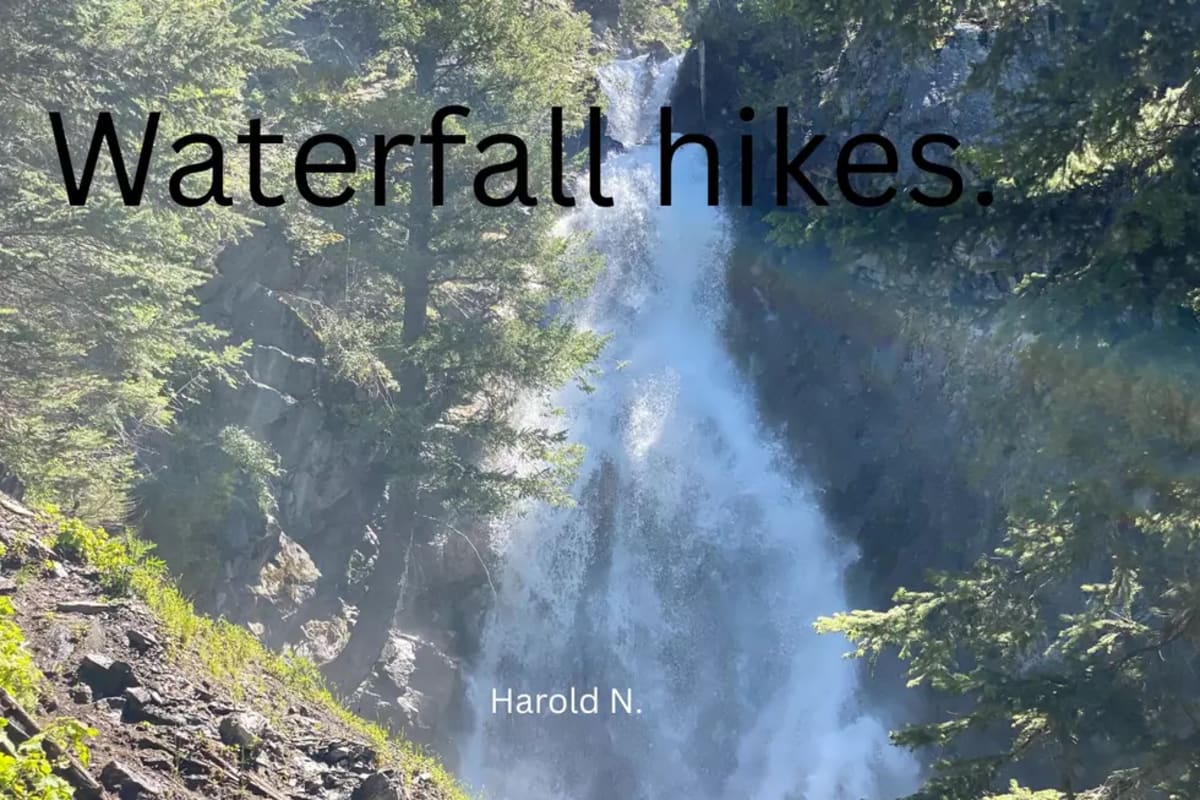 Montana Man Proposes With 100 Pounds of Sapphire Gravel - Image 4