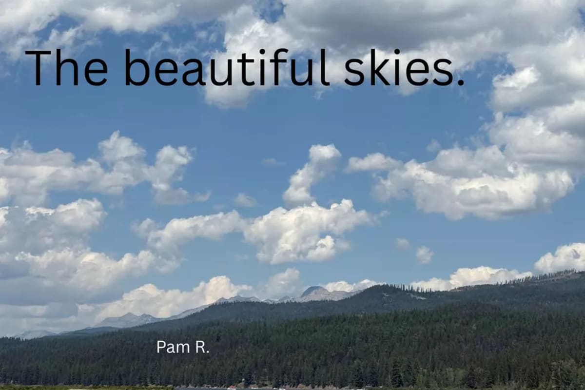 Montana Man Proposes With 100 Pounds of Sapphire Gravel - Image 5