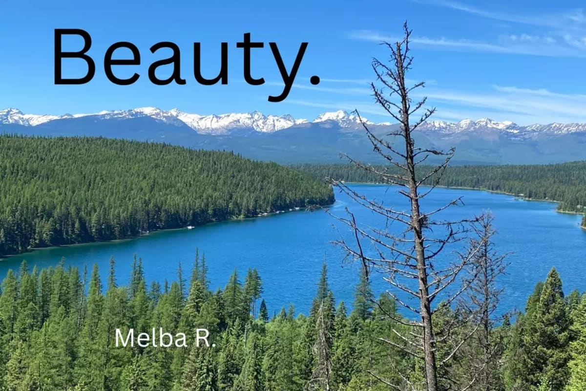 Montana Man Proposes With 100 Pounds of Sapphire Gravel - Image 3