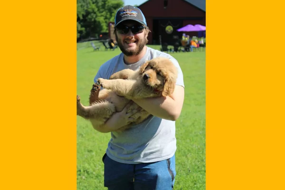 NJ Arborist Rescues 200+ Cats From Trees for Free - Image 4