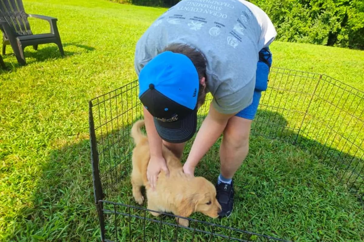 NJ Arborist Rescues 200+ Cats From Trees for Free - Image 5