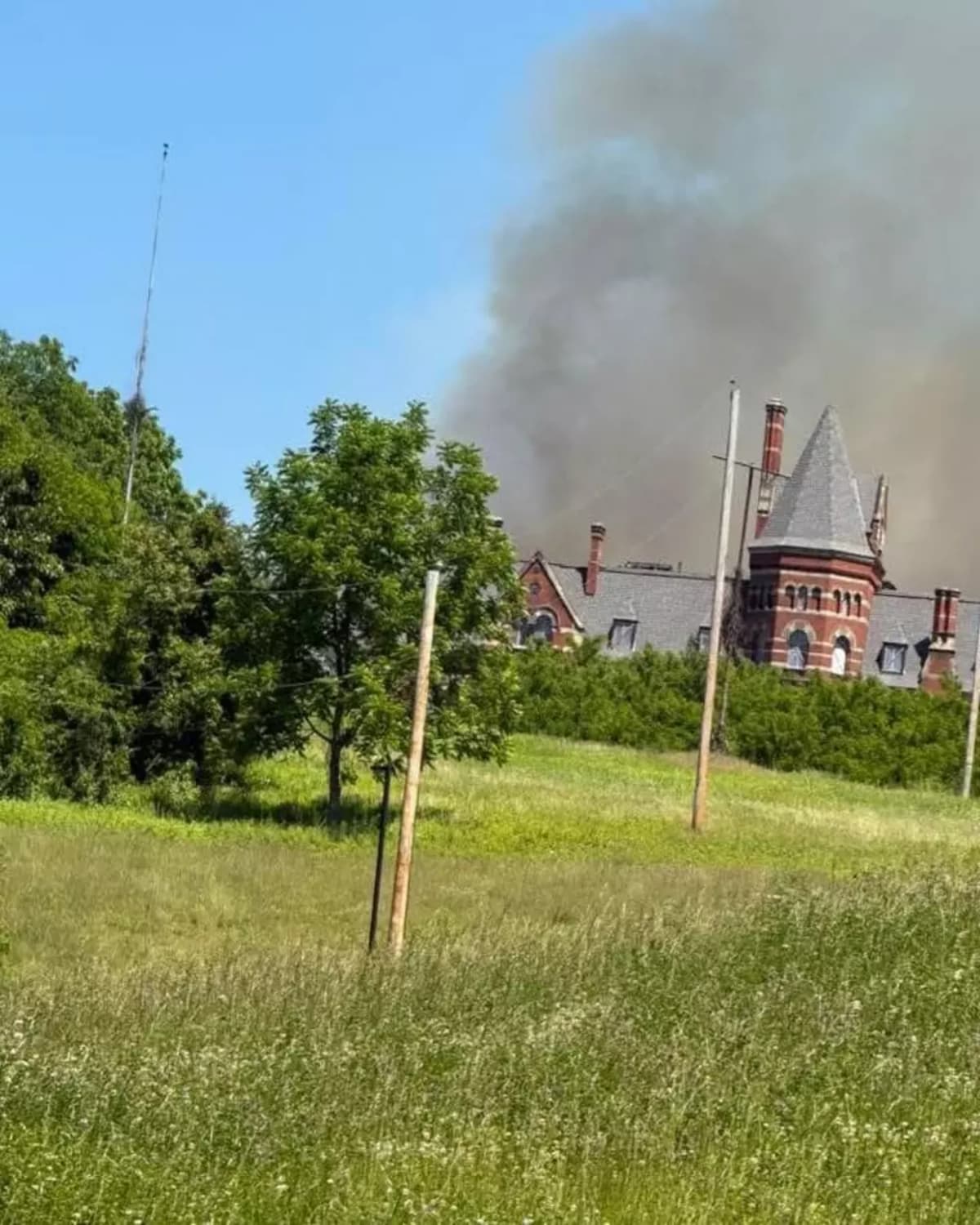 All 8 Dogs Saved as NY Shelter Staff Races Into Fire - Image 5