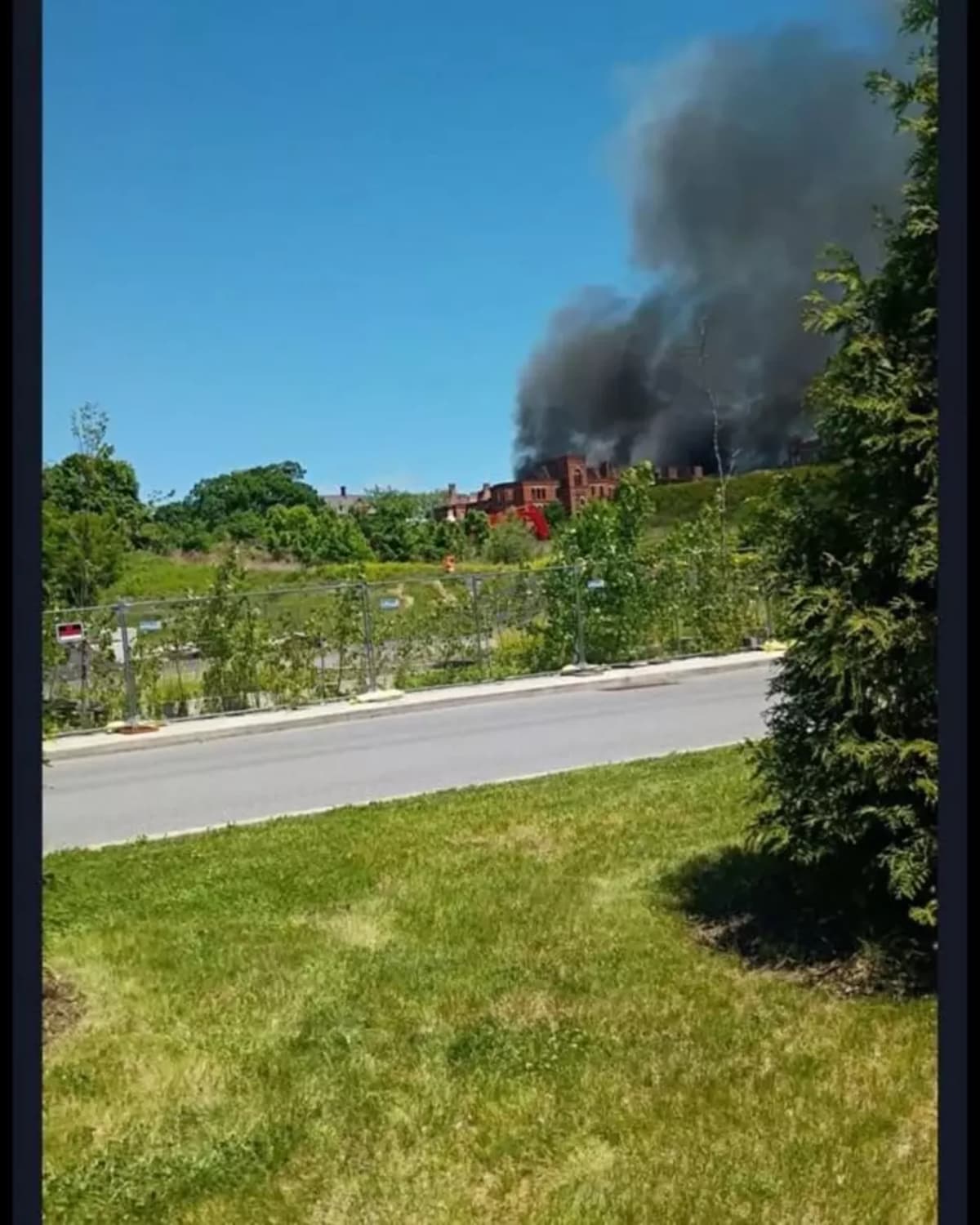 All 8 Dogs Saved as NY Shelter Staff Races Into Fire - Image 4