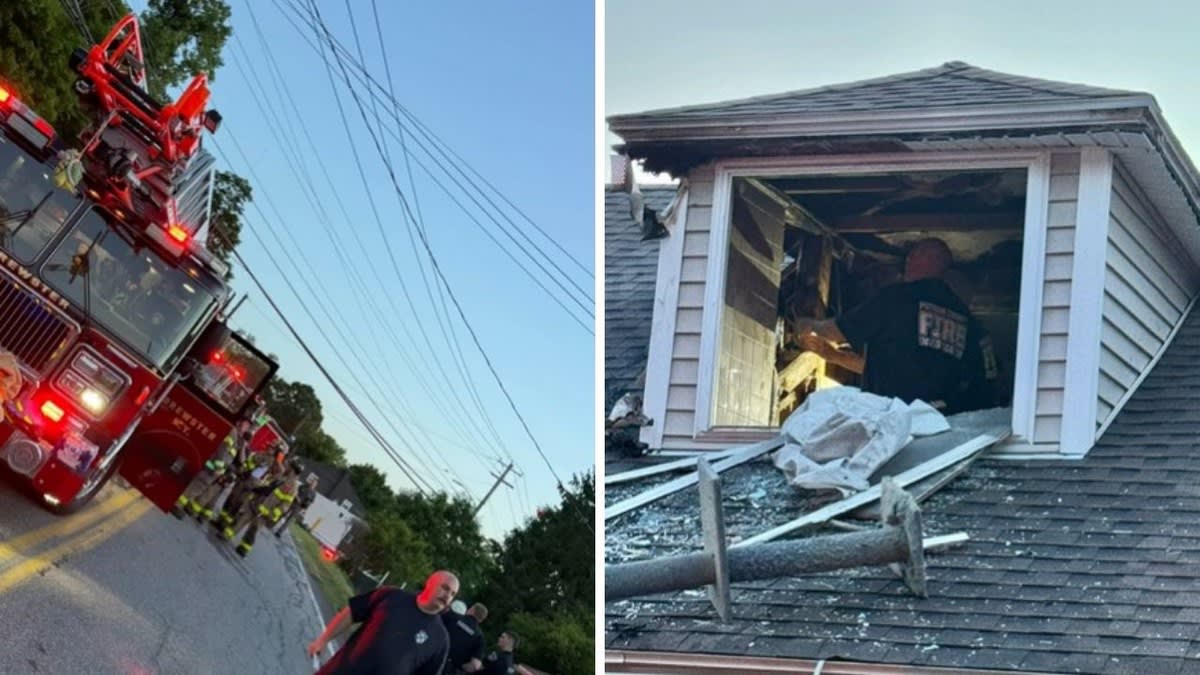 All 8 Dogs Saved as NY Shelter Staff Races Into Fire