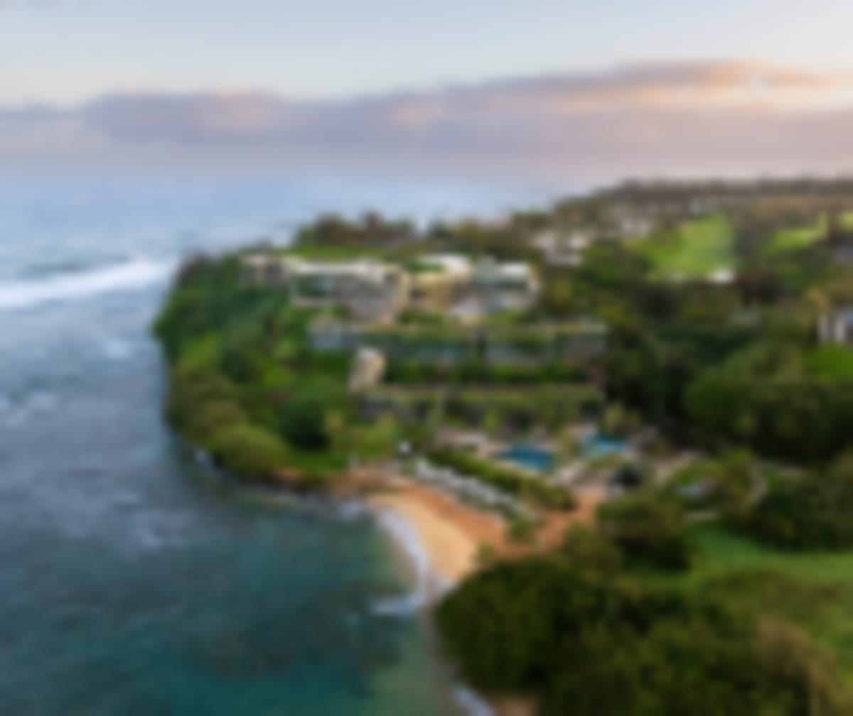 Air New Zealand Trials Digital ID to Replace Passports - Image 4