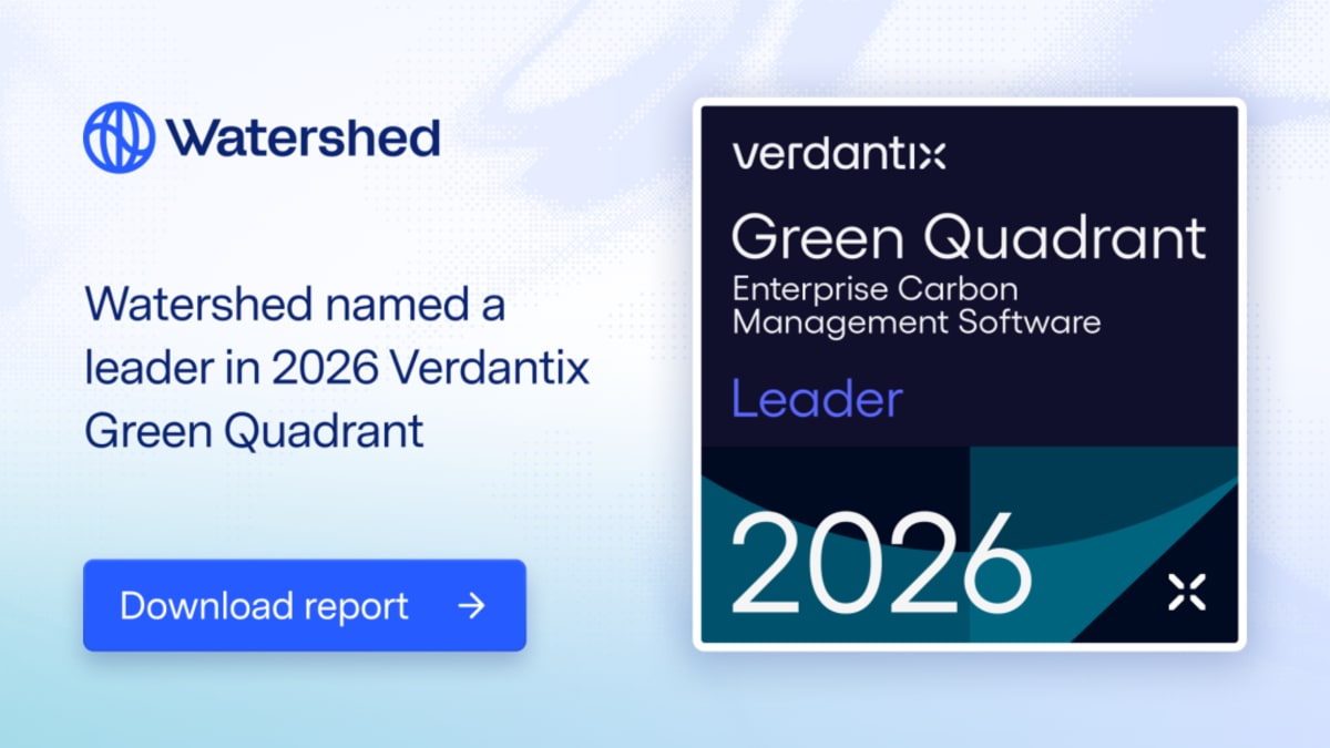 Google, Meta and McKinsey Back Appalachian Reforestation - Image 4