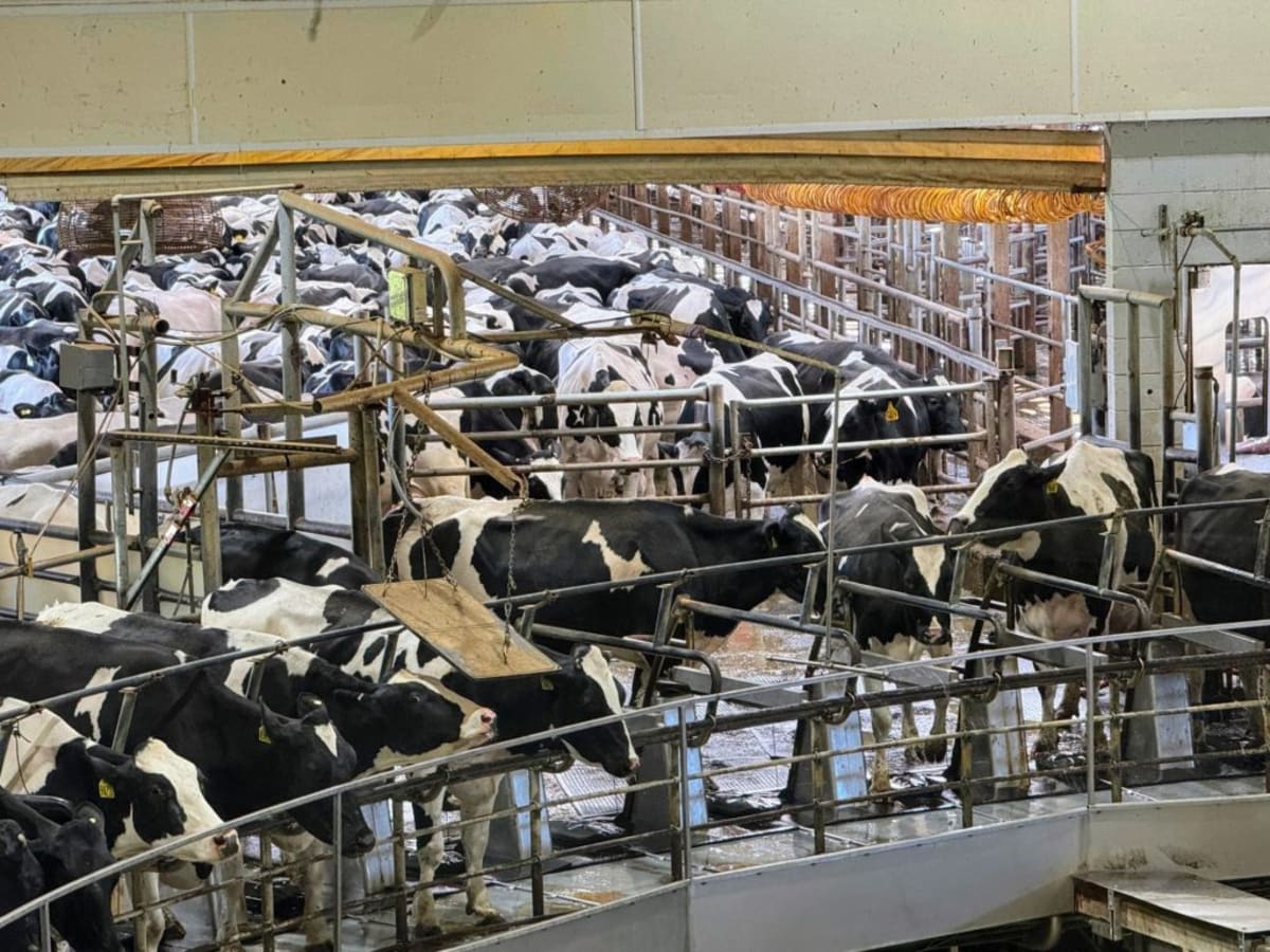 Danone Nearly Hits 2030 Methane Goal Five Years Early - Image 2