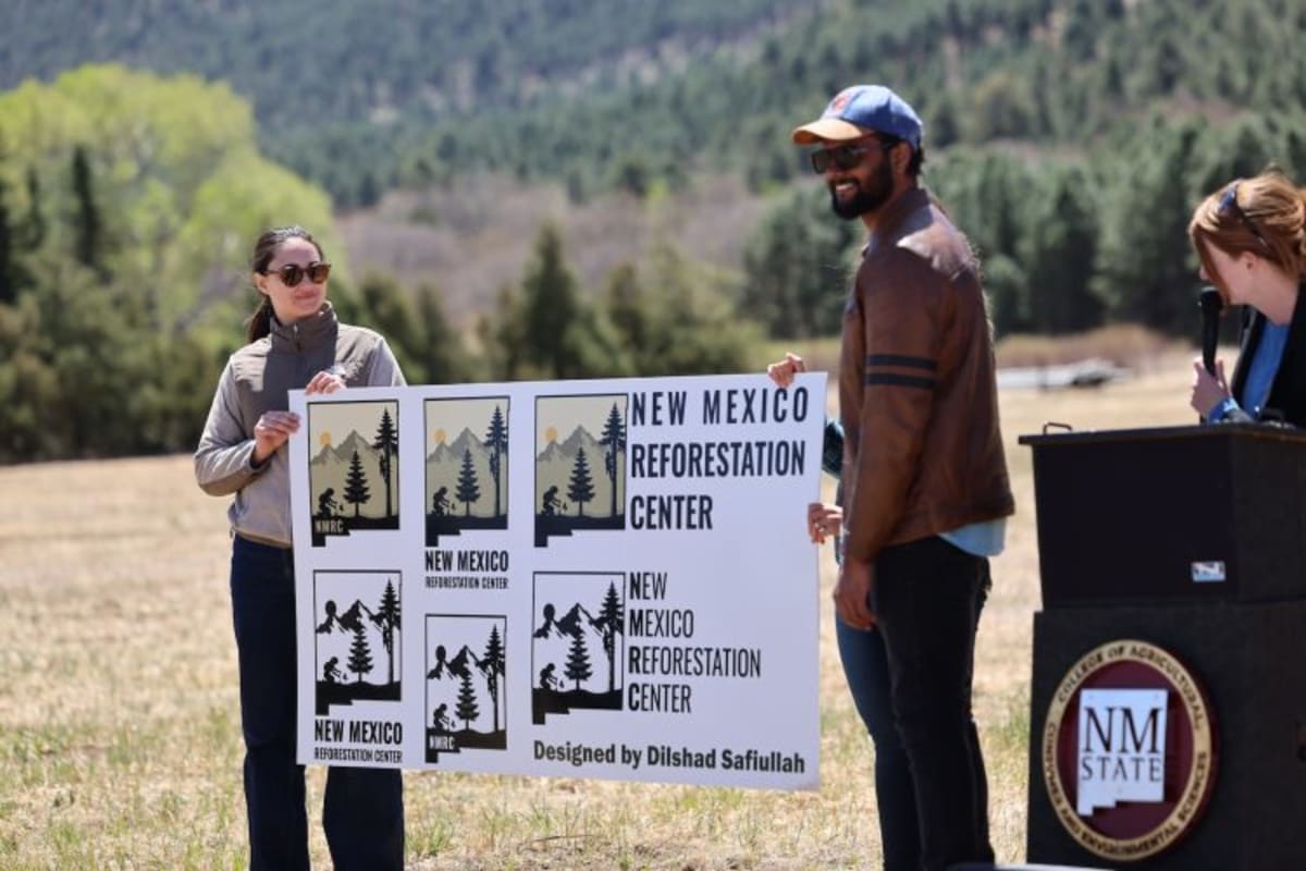 New Mexico Trains 'Bootcamp' Seedlings to Survive Wildfires - Image 2