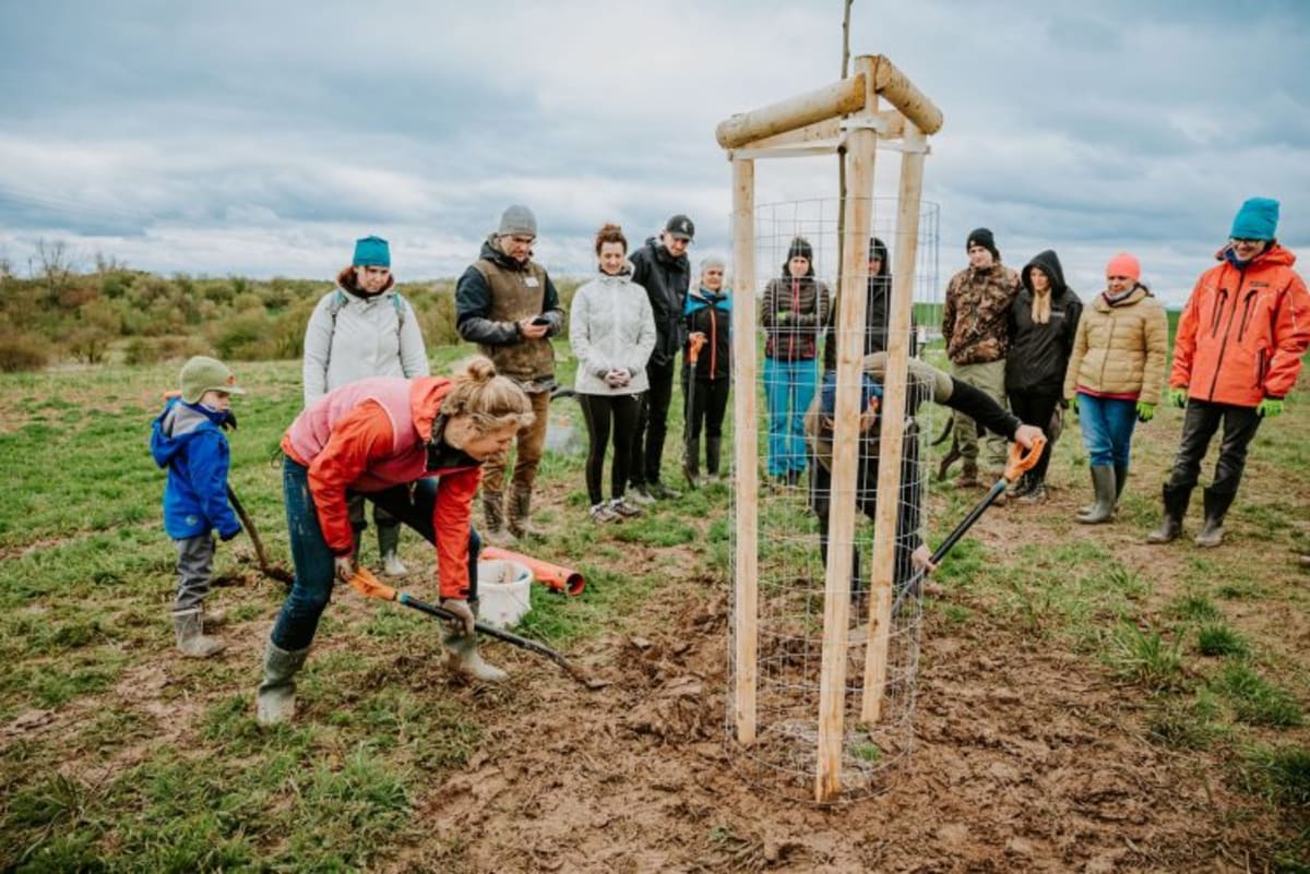 Foundation Funds Peatlands to Tree Planting Climate Wins - Image 4