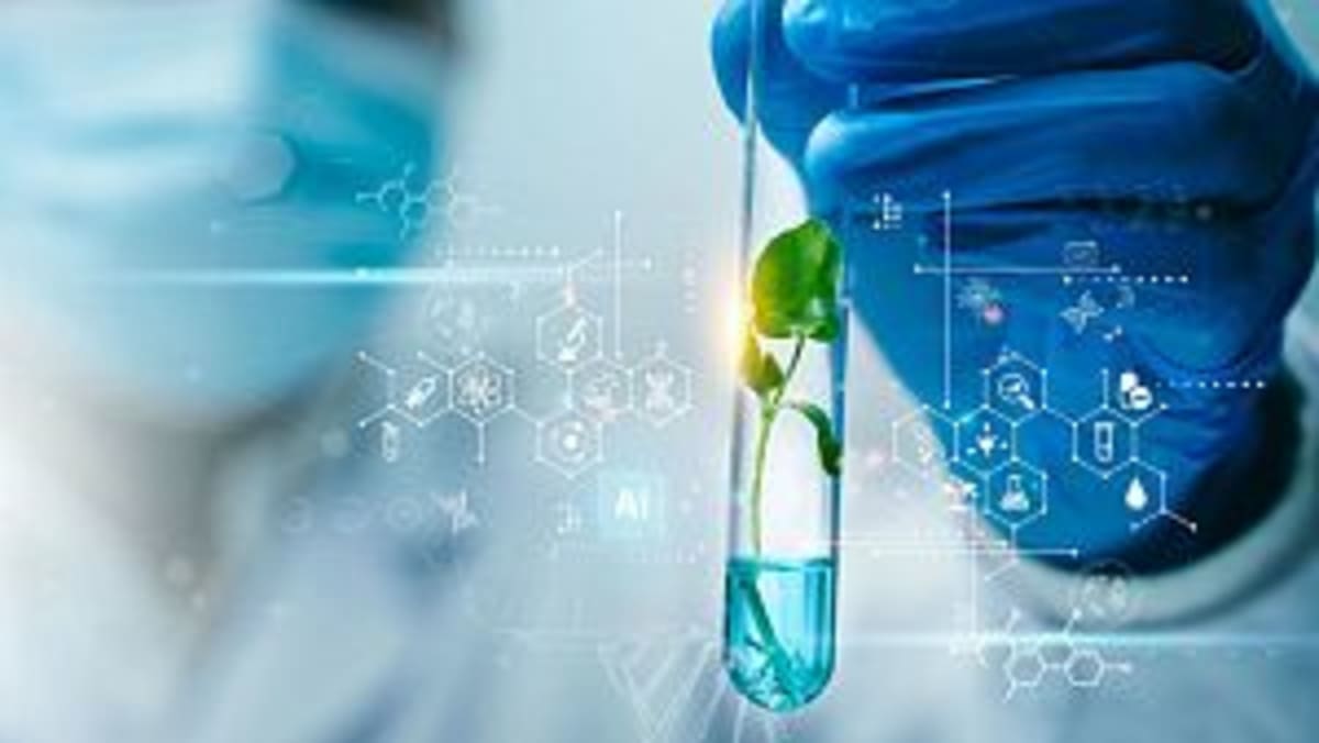 South African 'Cancer Bush' Shows Promise Against Tumors