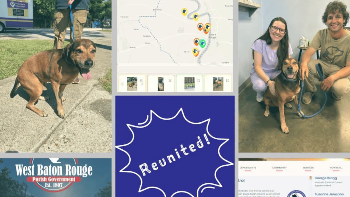 ** Happy dog Ollo reunited with family through West Baton Rouge pet mapping app