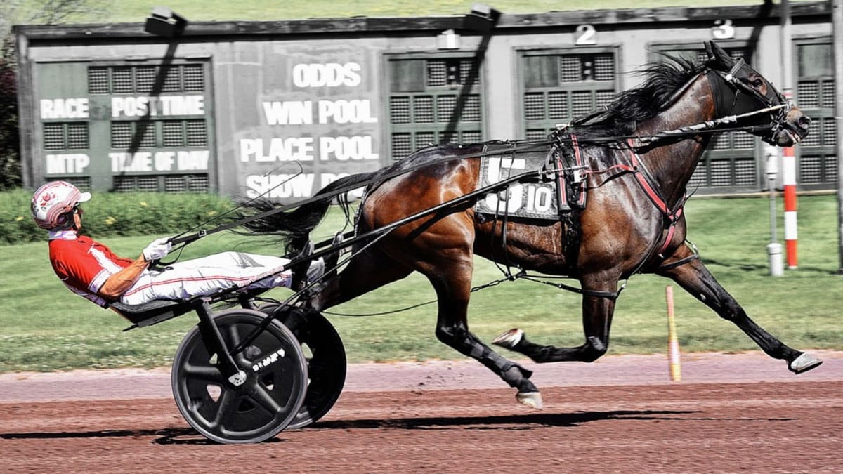 Horse Ties World Record at 1:50.2 in Pennsylvania