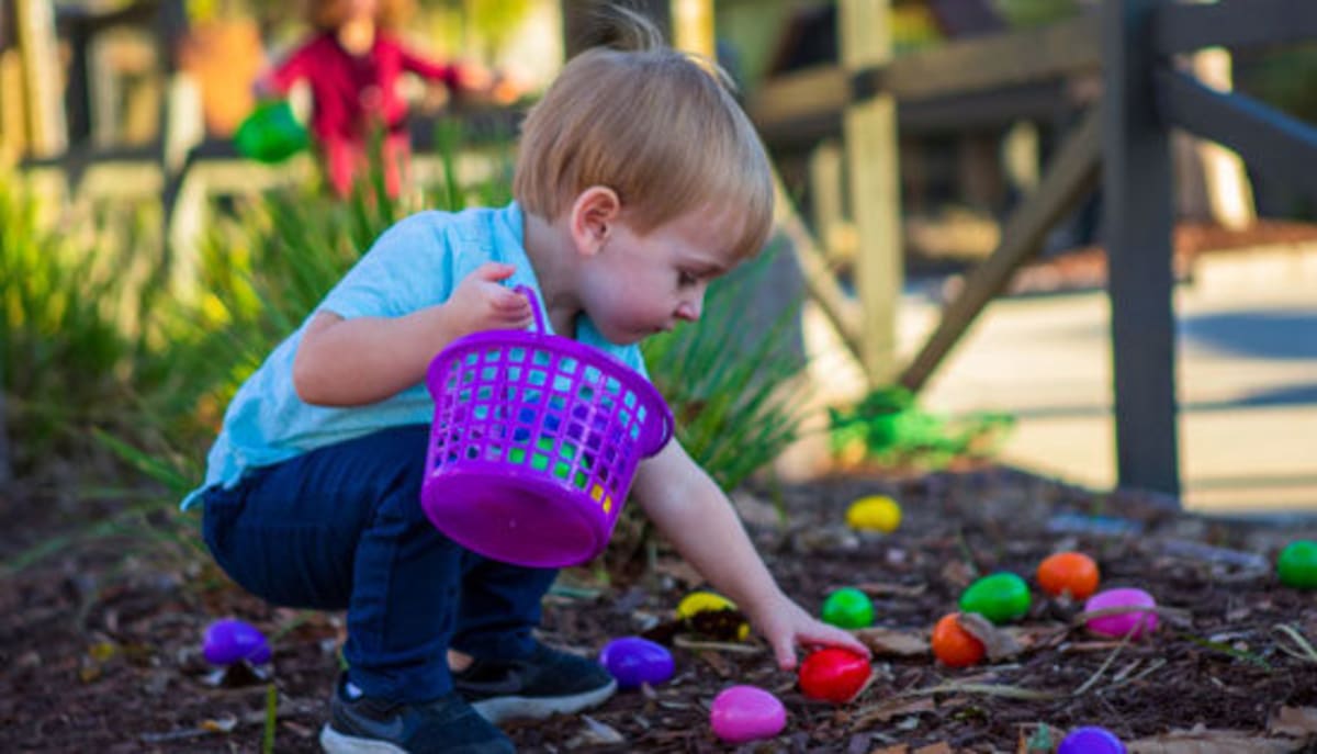 39 Georgia Students Win $25K in Merit Scholarships - Image 5