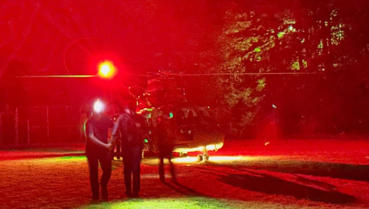 Rescue Teams Save Injured Hiker on Mount Brunswick - Image 2