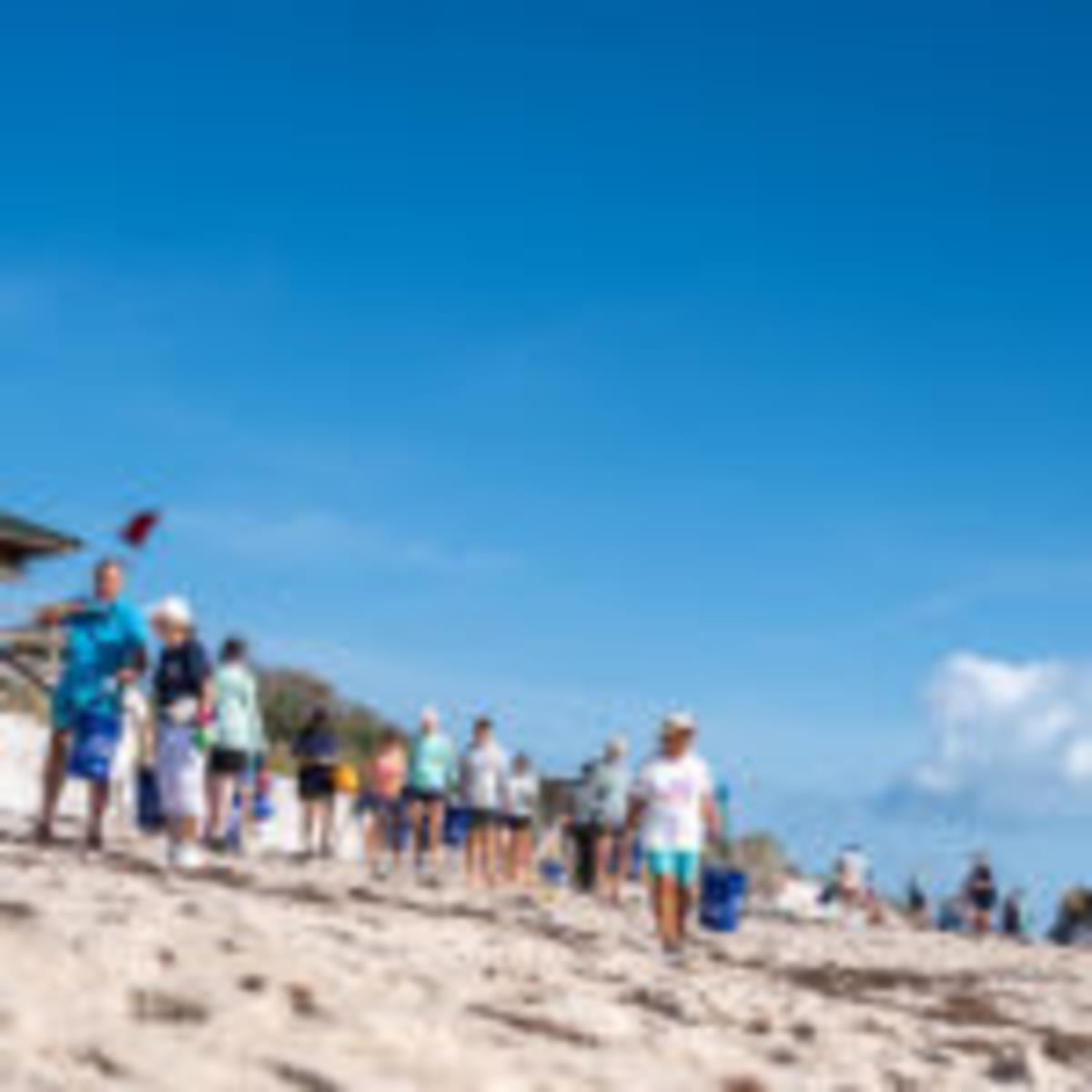Dozens Clean Golden Sands Beach for World Ocean Day - Image 3