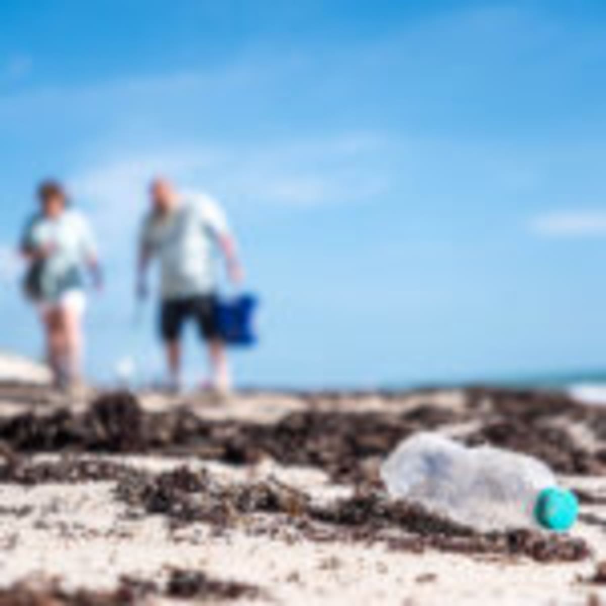 Dozens Clean Golden Sands Beach for World Ocean Day - Image 4