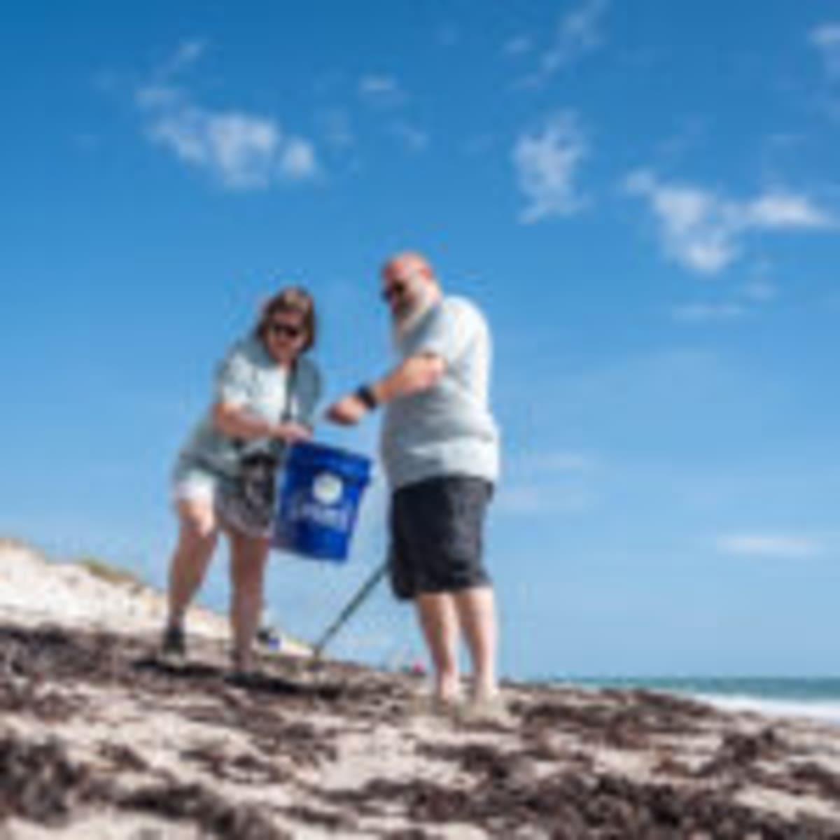 Dozens Clean Golden Sands Beach for World Ocean Day - Image 5