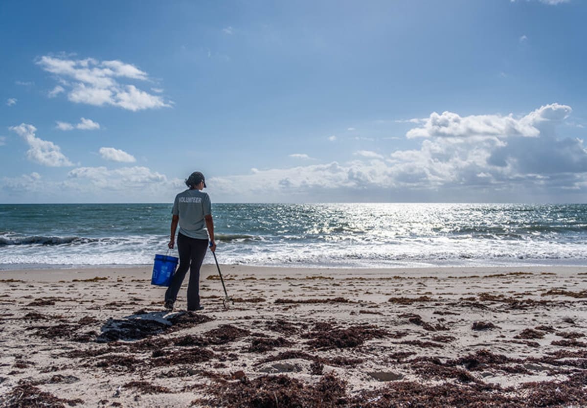 Dozens Clean Golden Sands Beach for World Ocean Day - Image 2