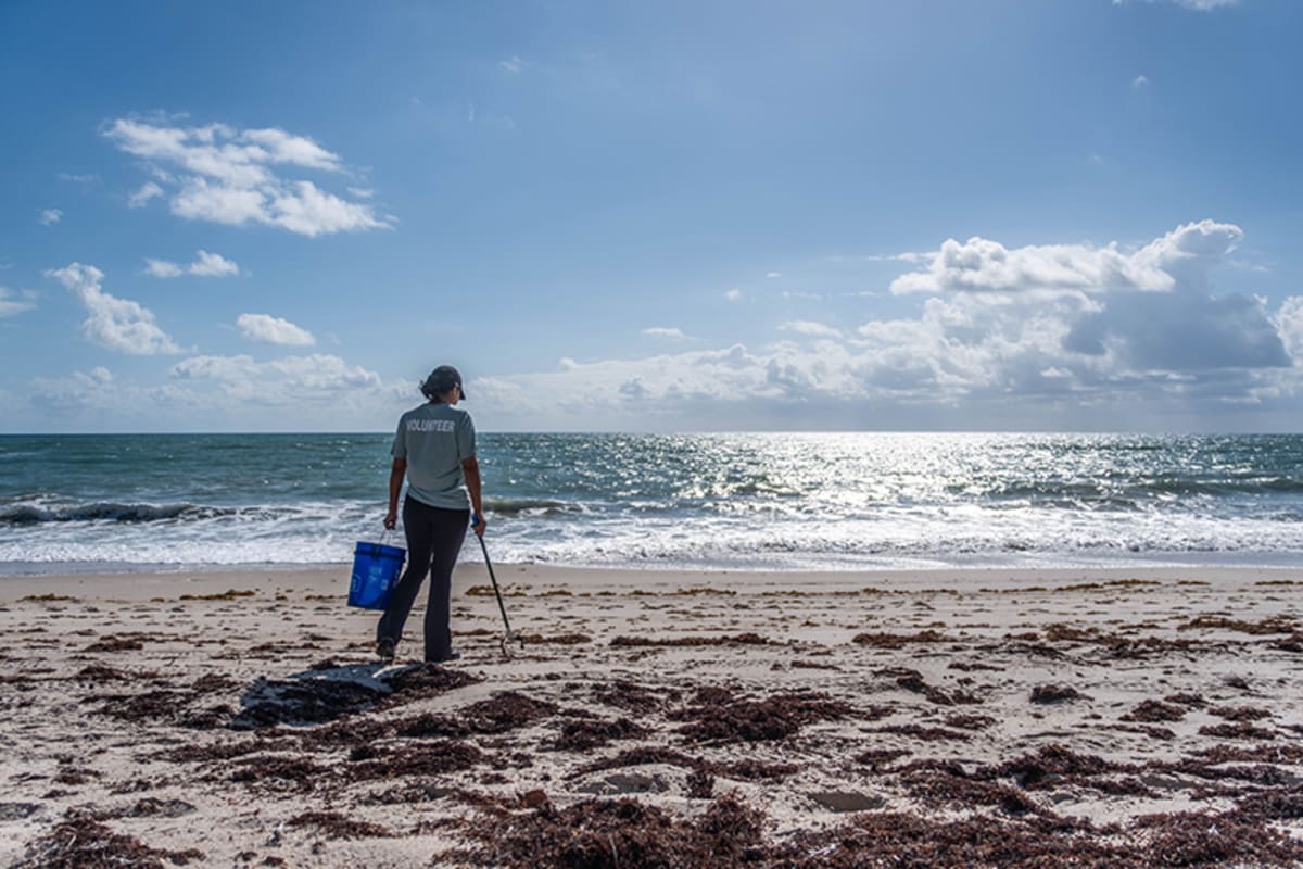 Volunteers wearing gloves use trash pickers to collect debris from Golden Sands Beach Park in Florida