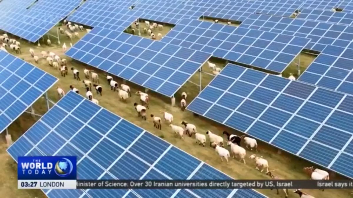 ** Millions of solar panels stretching across Gobi Desert landscape in Qinghai Province, China