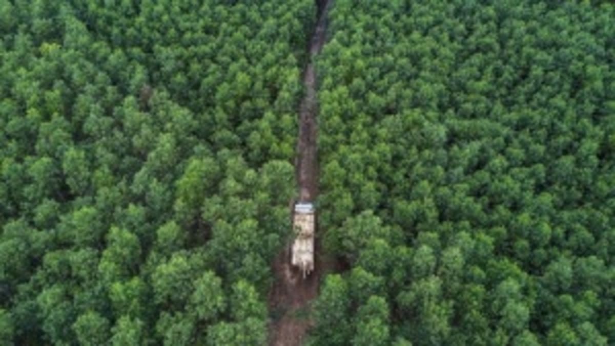 Vietnam Launches Carbon Exchange to Hit Net-Zero by 2050 - Image 4