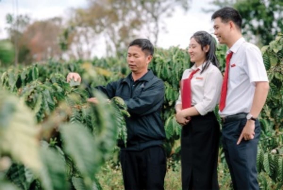 Vietnam Bank Secures Climate Deal Without Government Backing - Image 2