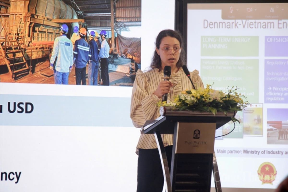 Vietnam Unveils Green Energy Roadmap to Cut Emissions 73% - Image 2