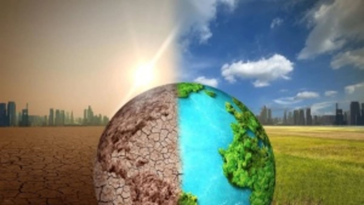 Vietnam Bank Secures Climate Deal Without Government Backing - Image 3