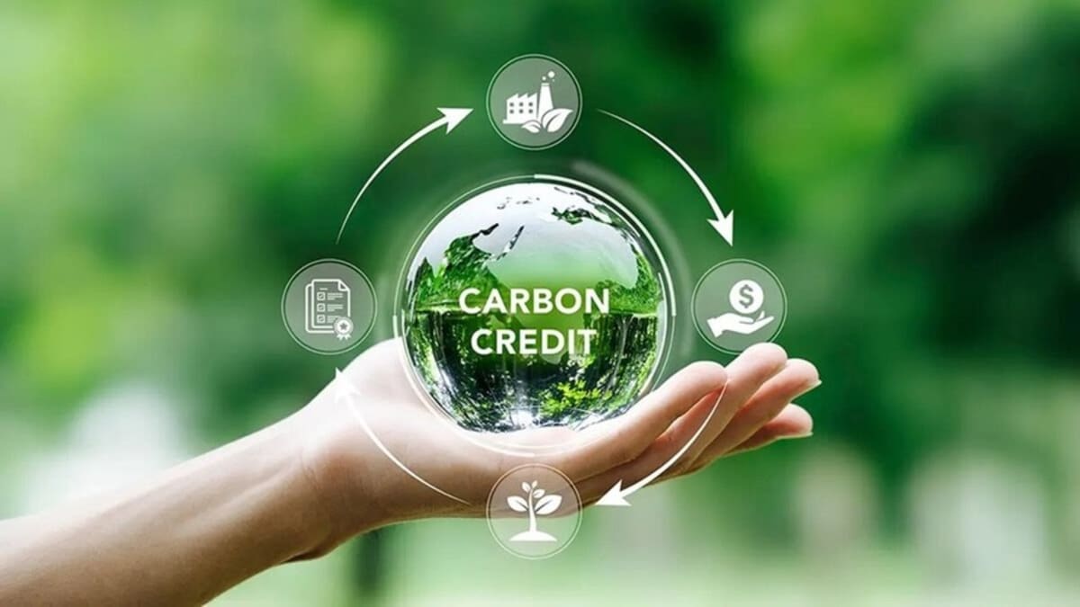Vietnamese officials at workshop discussing carbon exchange launch and climate commitments