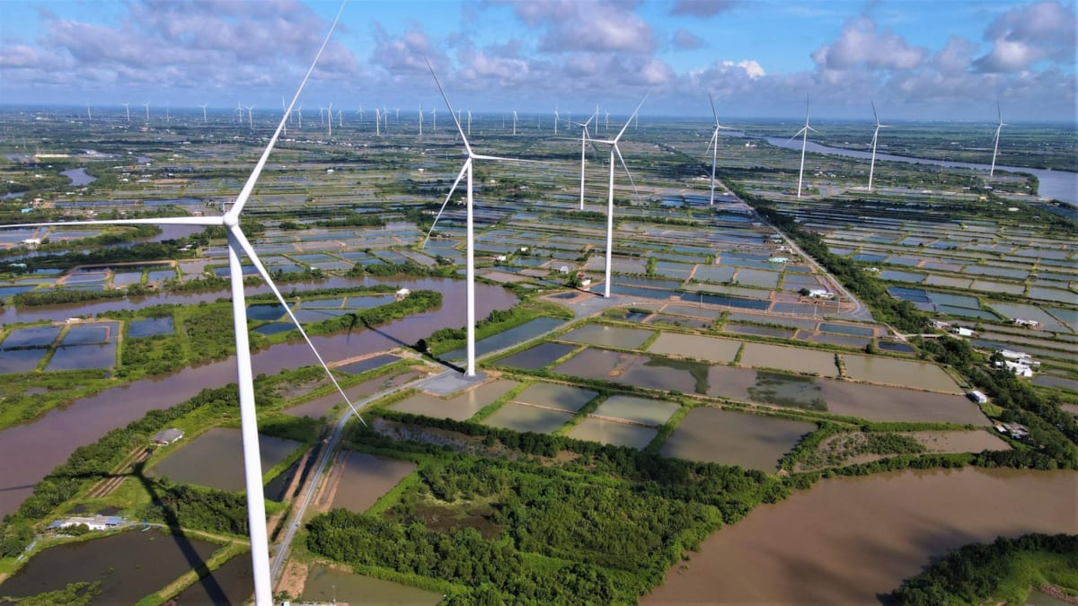 ** Wind turbines along Can Tho's coastal region in Vietnam's Mekong Delta producing renewable energy