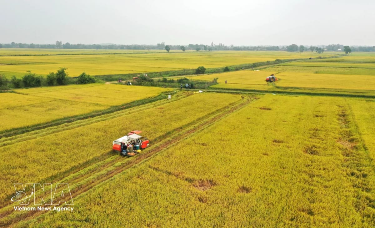 Vietnamese Women Now Lead 20% of Nation's Businesses - Image 5