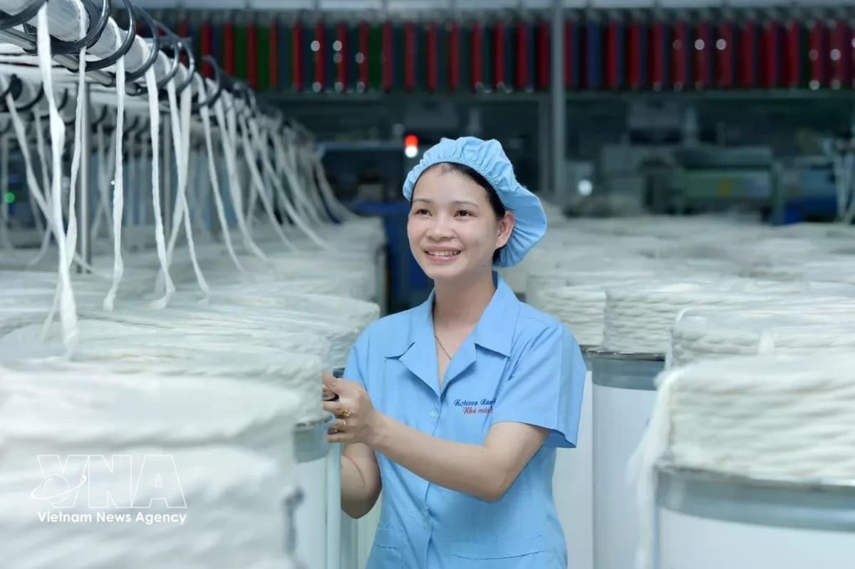 Vietnamese Women Now Lead 20% of Nation's Businesses - Image 4