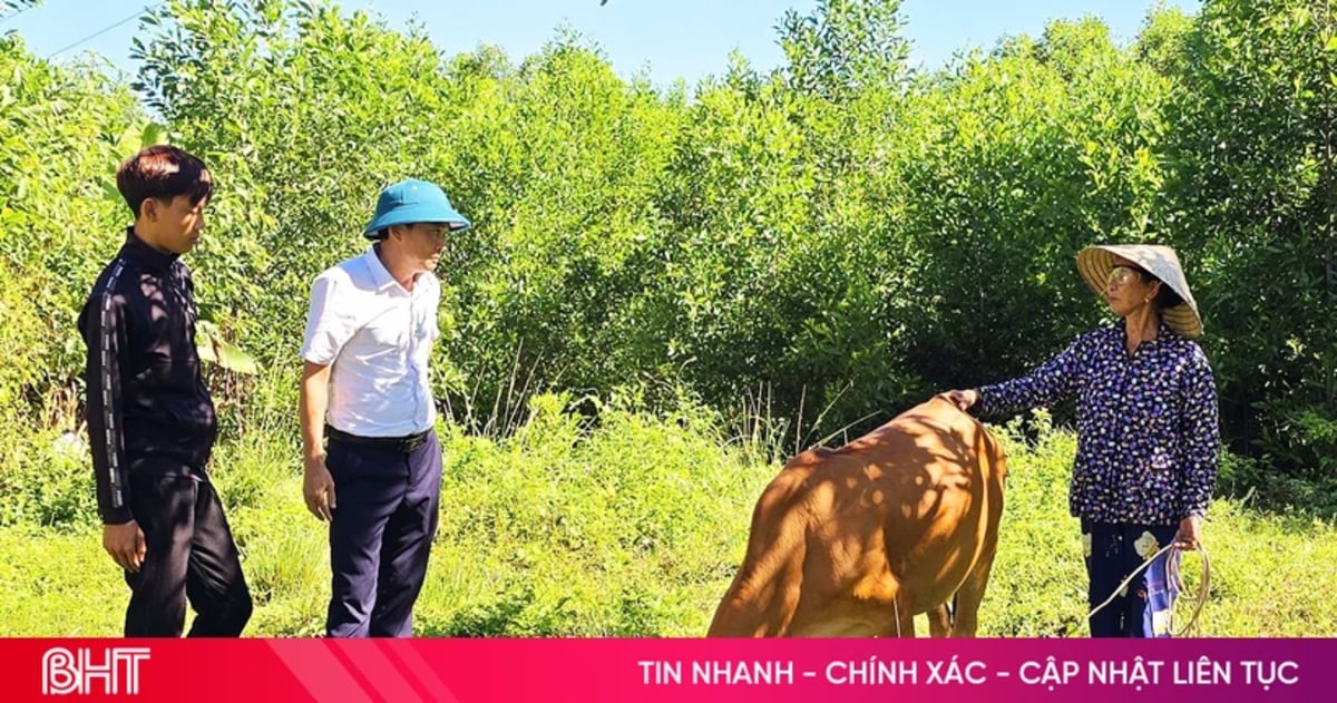 Vietnam Village Lifts 26 Families Out of Poverty With Cows