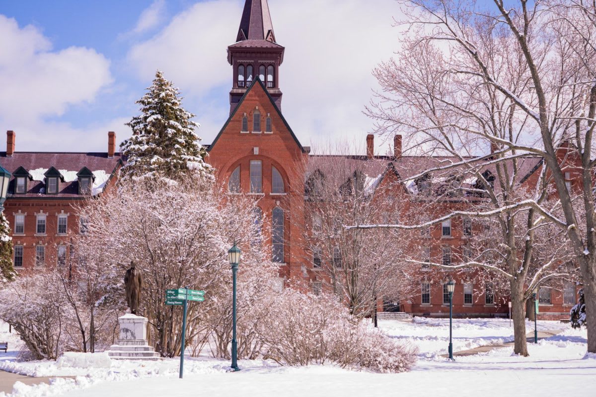 Vermont Students Get Paid to Build Real Business Skills - Image 3
