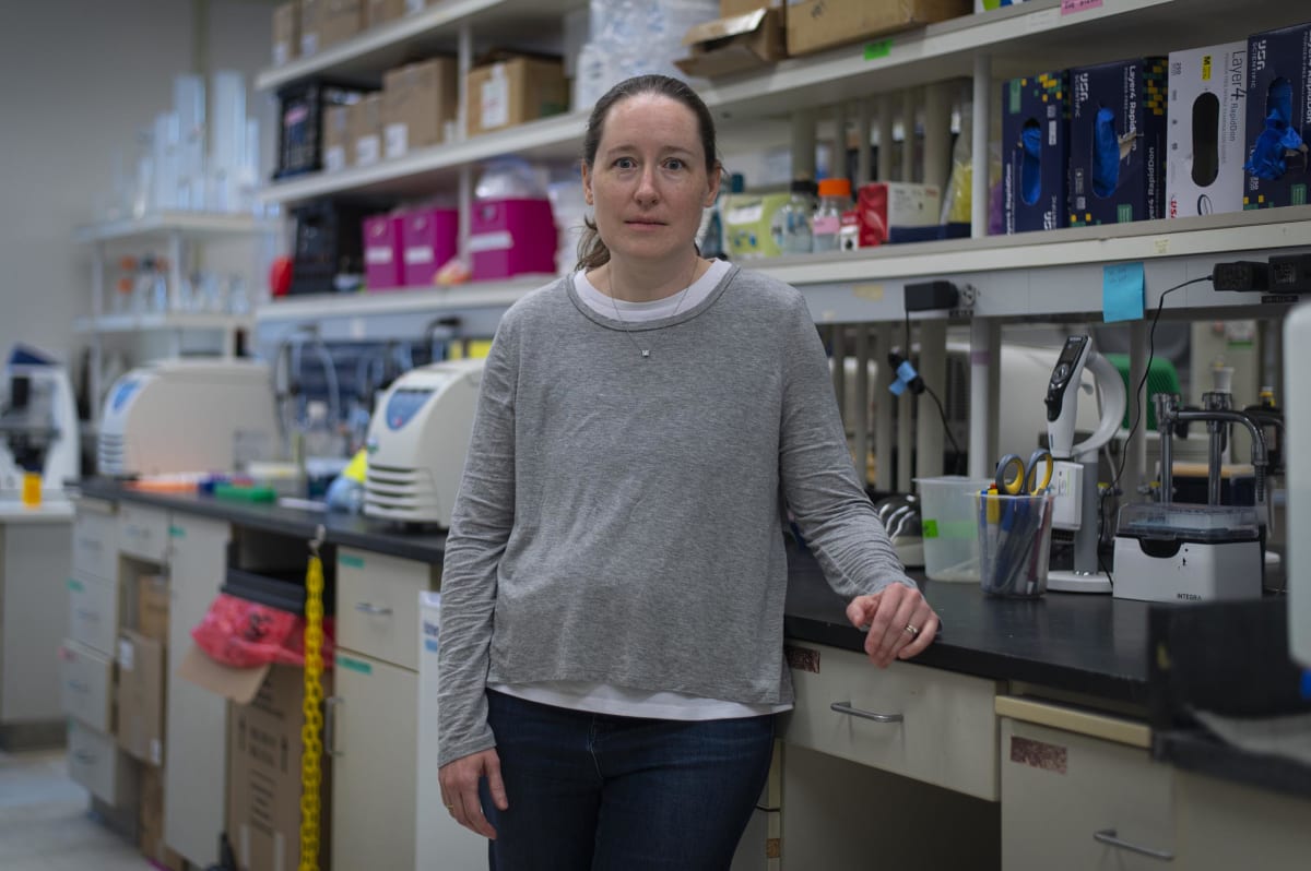 Lab Accident Leads to Flu Treatment Breakthrough