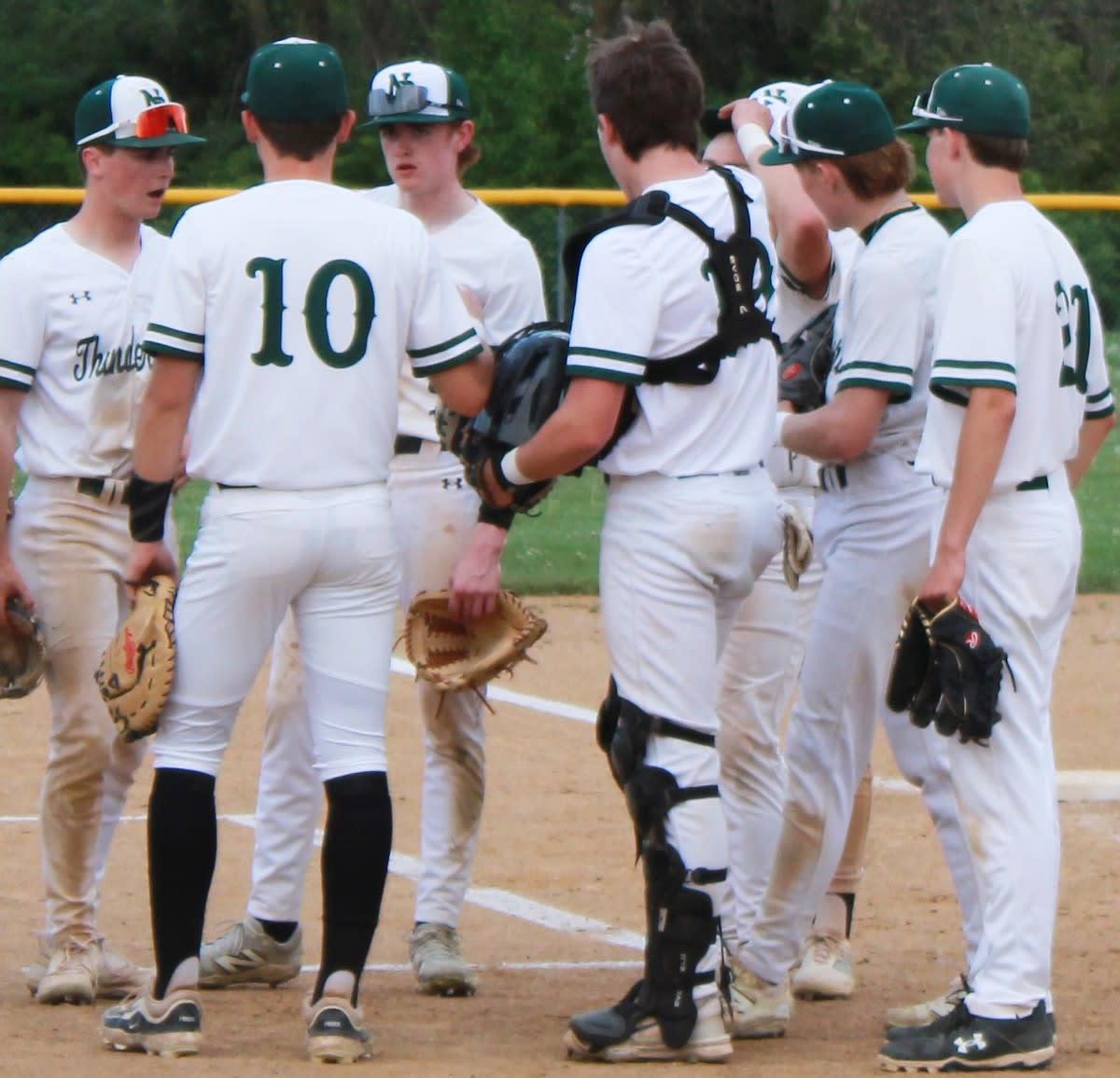 Wild Turkeys Return After Near-Extinction in Midwest - Image 3